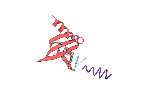 8Q2M image