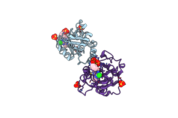 8Q3A image