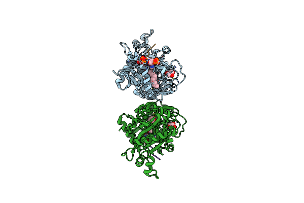 8Q3D image