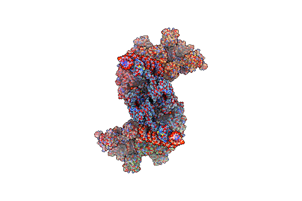 8Q4D image