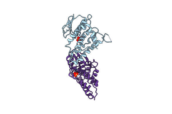 8Q4I image