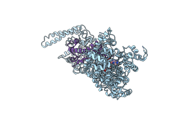 8Q56 image