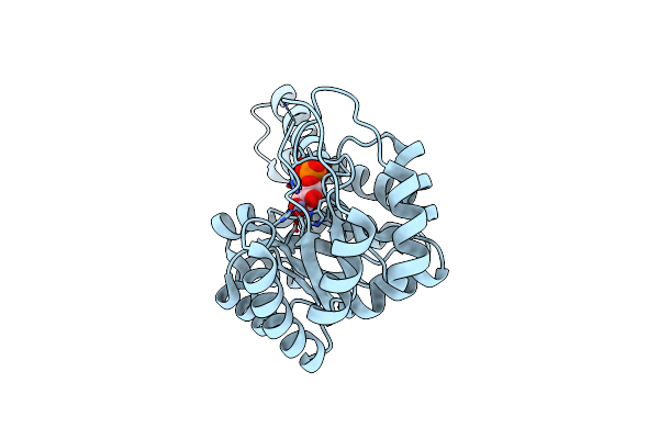 8Q5A image
