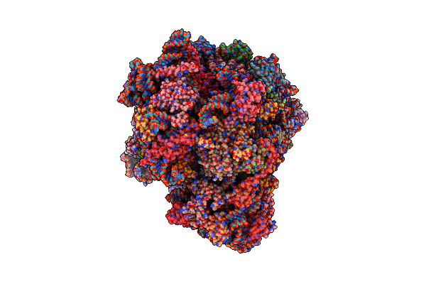 8Q5I image