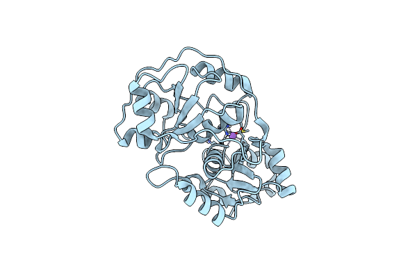 8Q5Z image