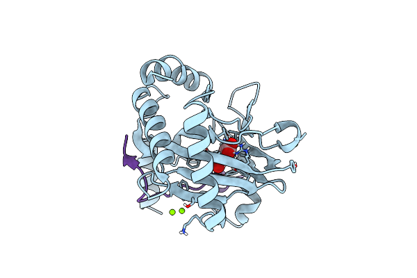 8Q6E image