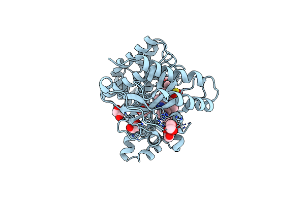 8Q6F image