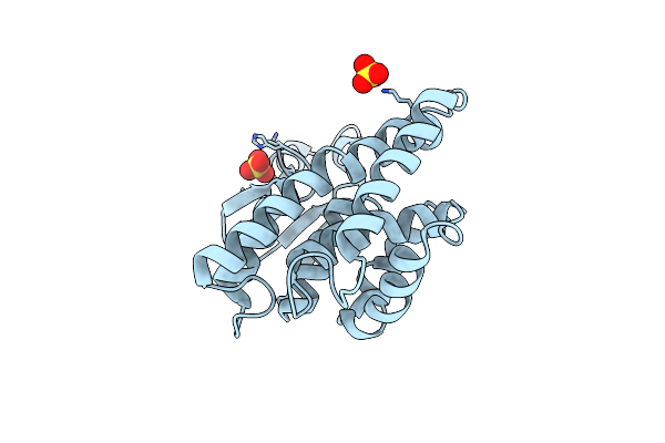 8Q8A image