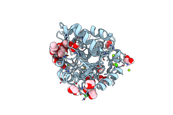 8Q8I image