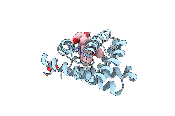 8QBA image