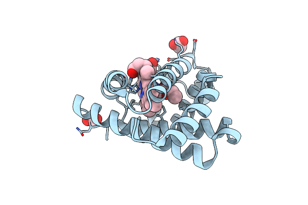 8QBC image
