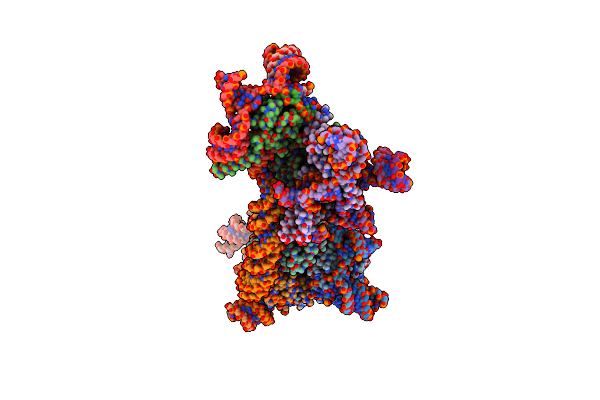 8QBM image