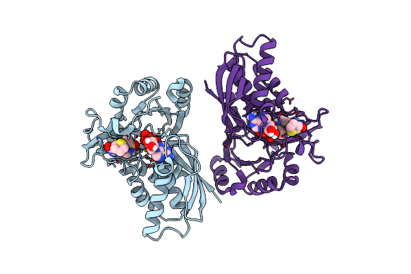 8QCC image