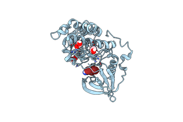 8QCD image