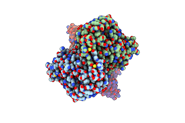 8QCM image