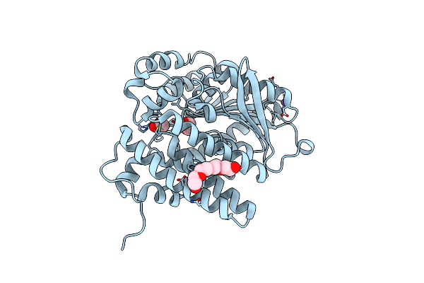 8QD5 image