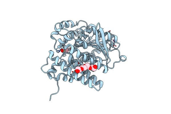 8QD6 image