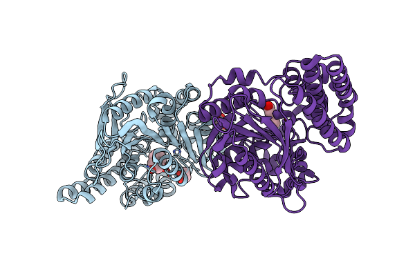 8QD8 image