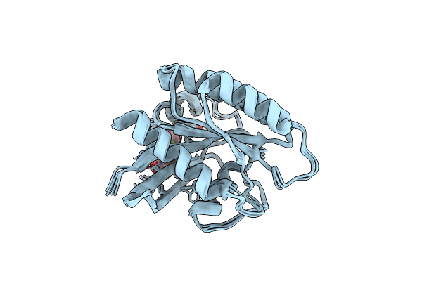 8QDN image