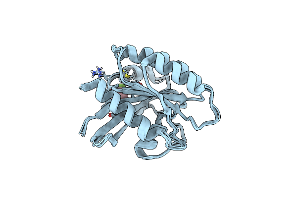 8QDP image