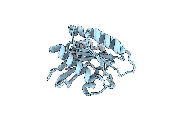 8QDW image