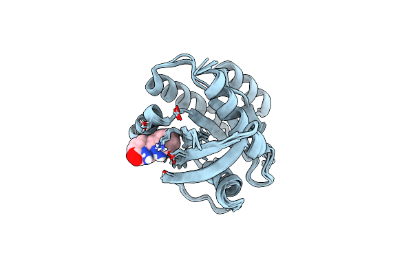 8QEJ image