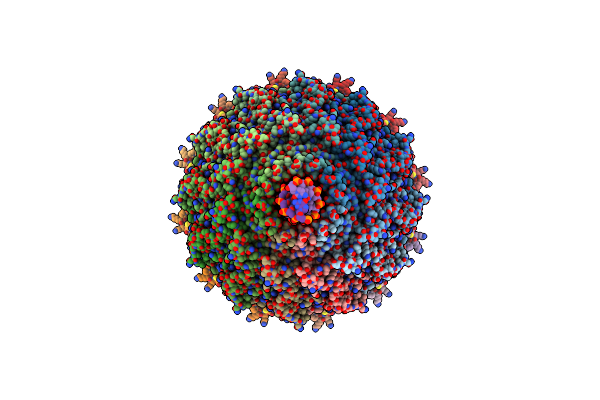 8QEM image