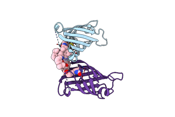 8QEX image