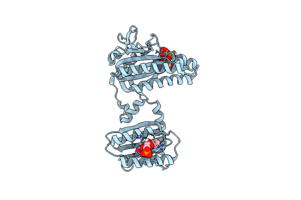 8QFI image