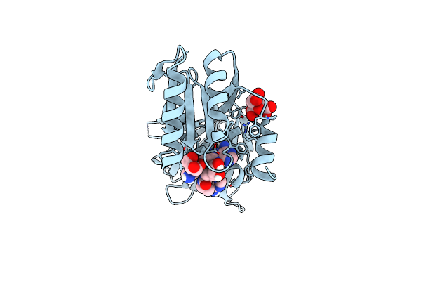 8QG4 image