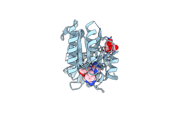 8QG6 image