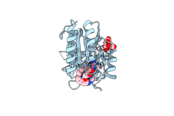 8QGA image