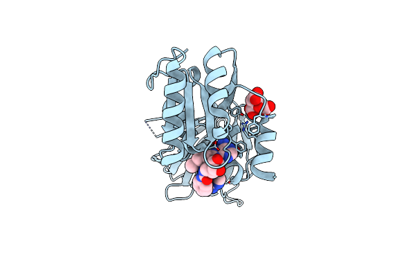 8QGC image