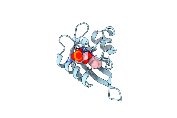 8QIB image