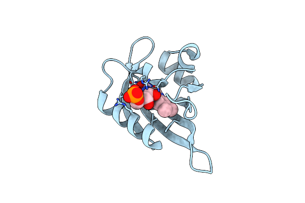 8QIH image
