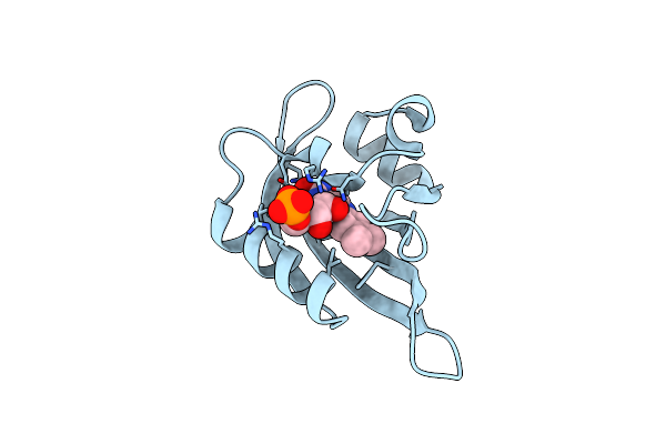 8QIM image