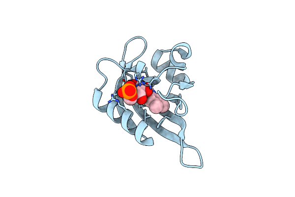 8QIT image