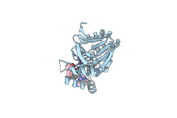 8QK2 image
