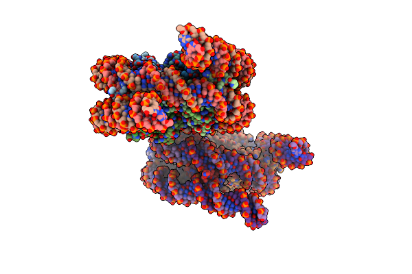 8QKT image