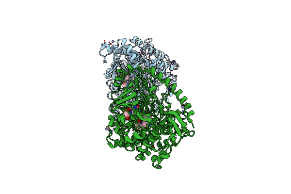 8QLG image