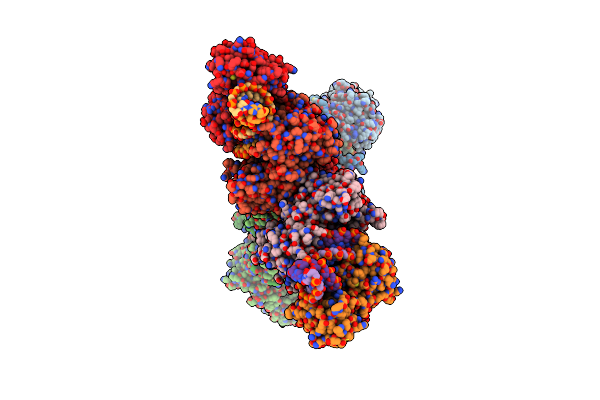 8QLP image