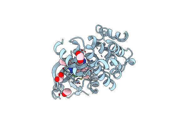 8QLT image