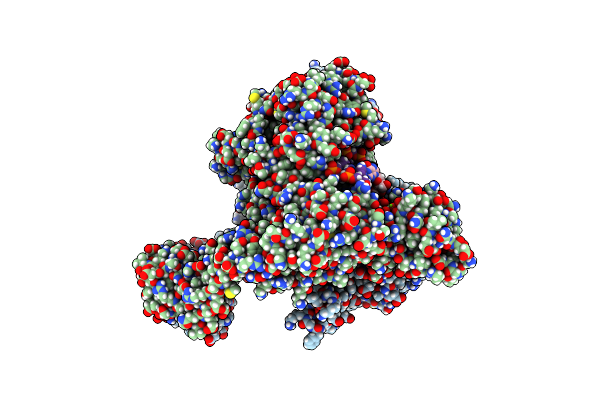 8QMC image