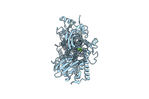 8QMP image