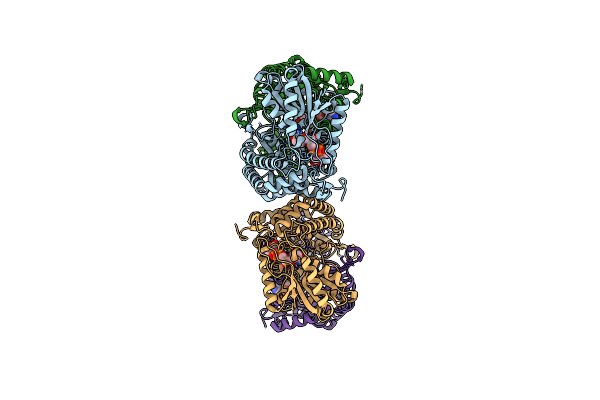 8QMS image