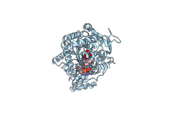 8QNB image