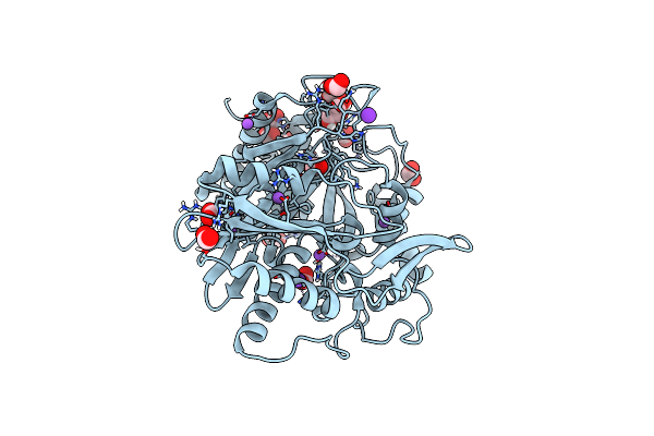 8QNF image