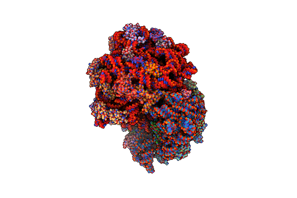 8QOA image
