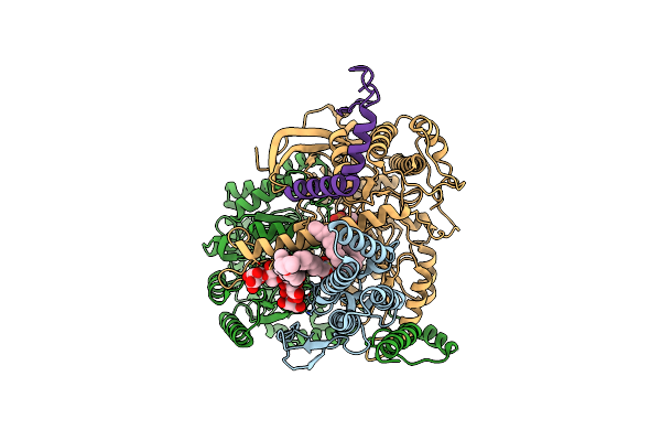 8QOG image