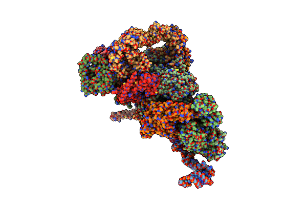 8QPE image